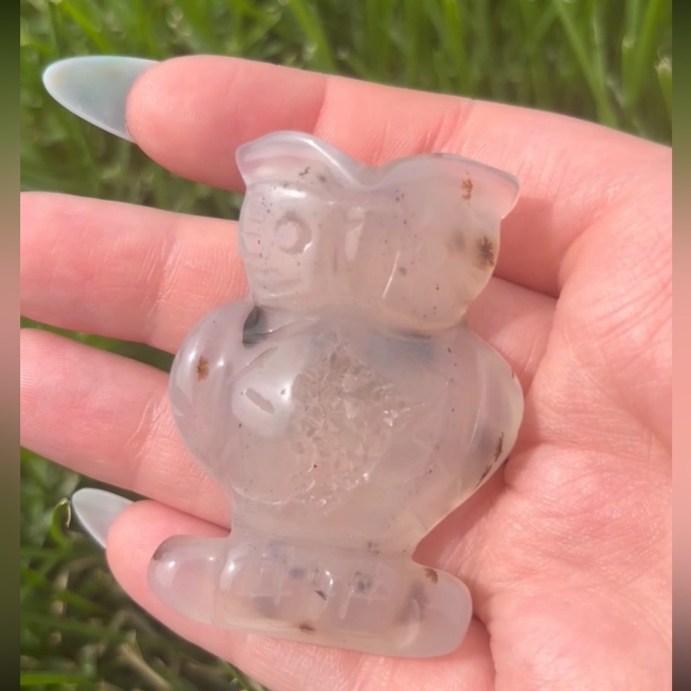 Druzy Agate Owl Carving✨